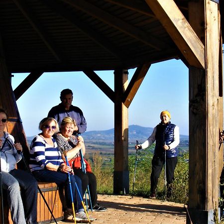 Hegyaljai Panoráma Vendégház Szerencs Exterior foto