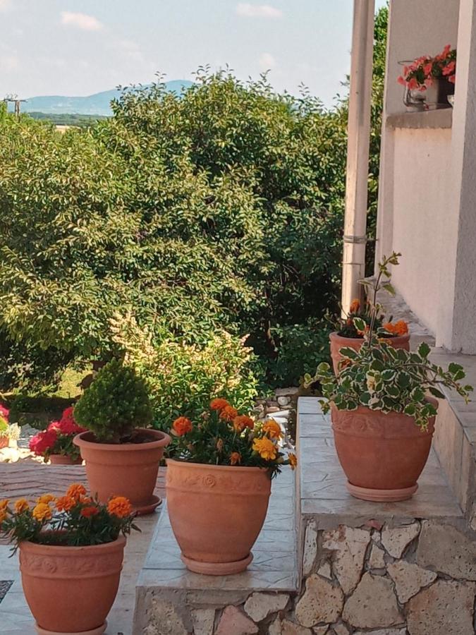 Hegyaljai Panoráma Vendégház Szerencs Exterior foto
