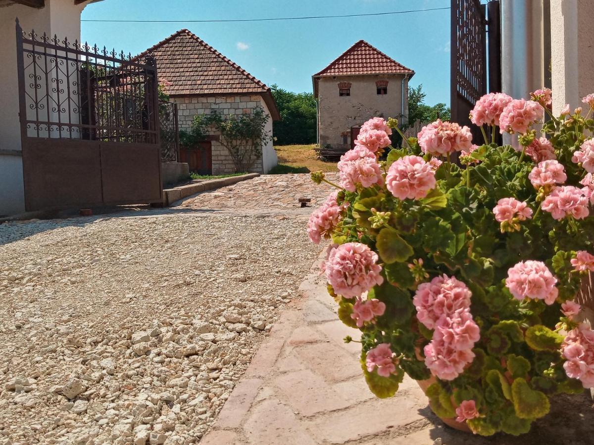 Hegyaljai Panoráma Vendégház Szerencs Exterior foto