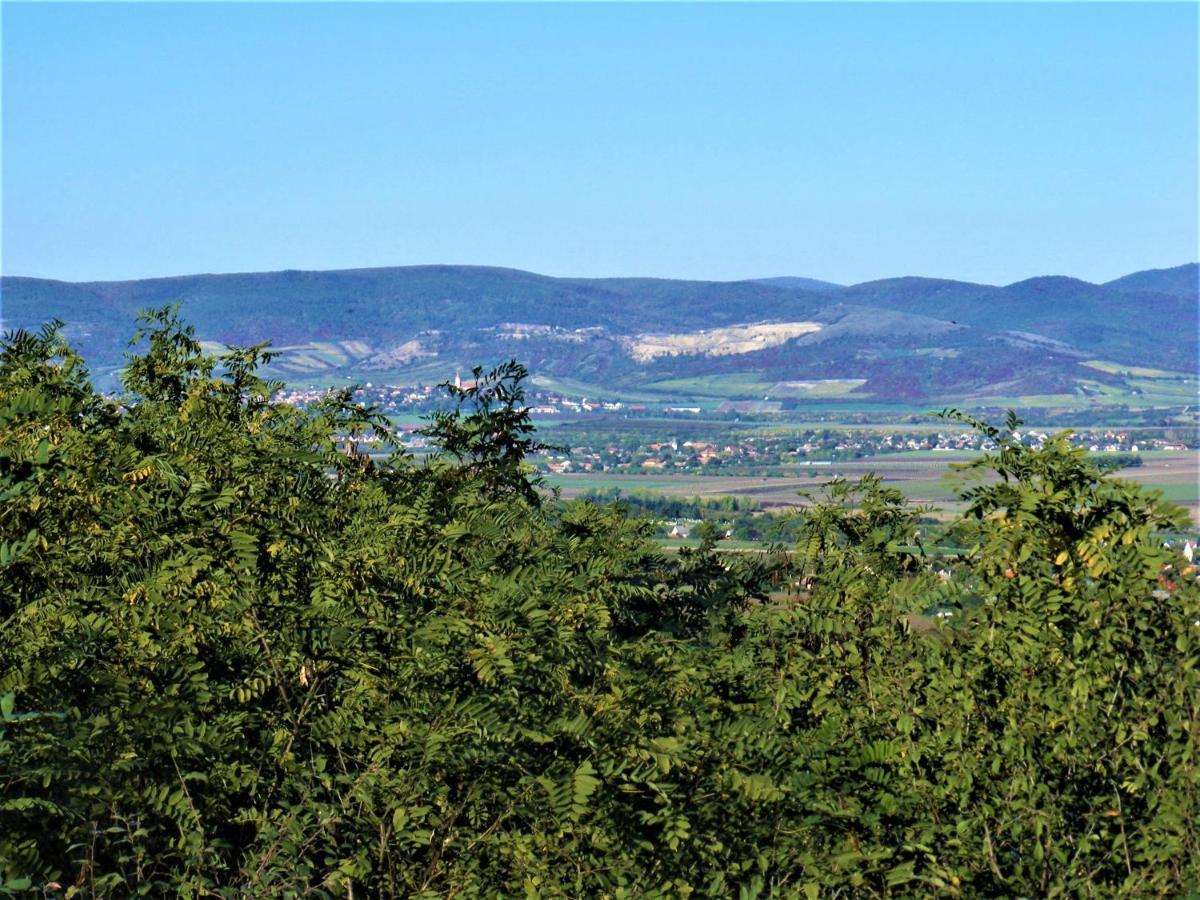 Hegyaljai Panoráma Vendégház Szerencs Exterior foto