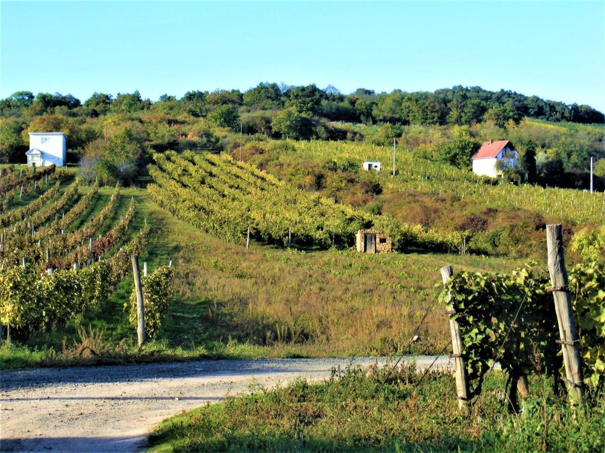 Hegyaljai Panoráma Vendégház Szerencs Exterior foto