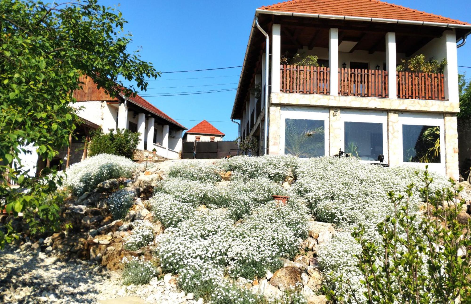 Hegyaljai Panoráma Vendégház Szerencs Exterior foto